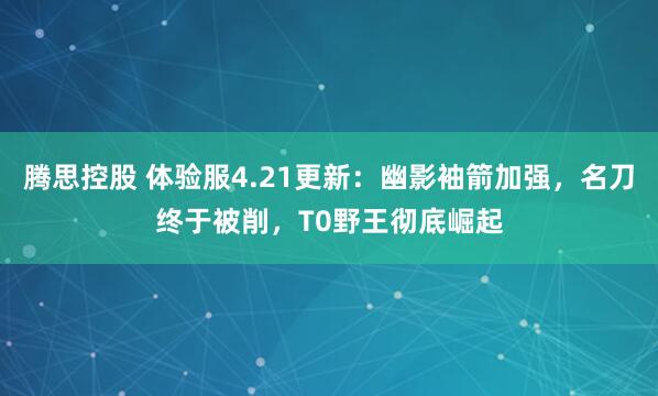 腾思控股 体验服4.21更新：幽影袖箭加强，名刀终于被削，T0野王彻底崛起